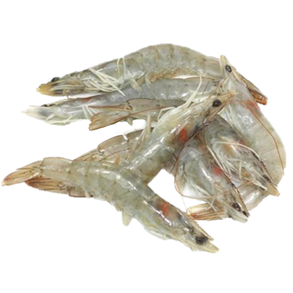 CREVETTES CRUES 31/40 6KG
