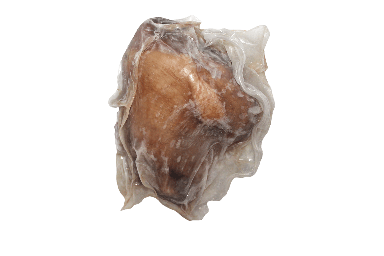 PAUPIETTES DE VEAU S/PORC 105G x 45