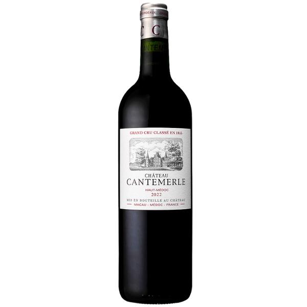 BDX CH CANTEMERLE  2022