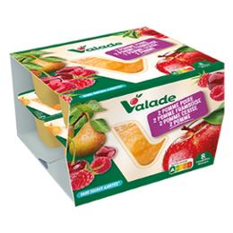 COMPOTE PANACHE SSA 8X100G