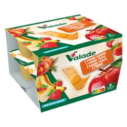 COMPOTE PANACHE SSA 8X100G