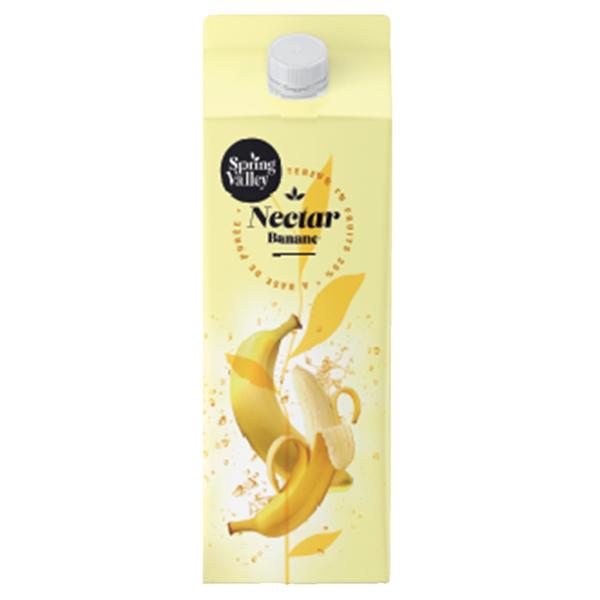 JUS SPRING NECTAR BANANE 1L/6