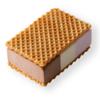 TRANCHE GLACEE NAPOLITAINE