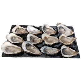 HUITRE DEMI COQUILLE N°2 CTN 4x12 ZAINES
