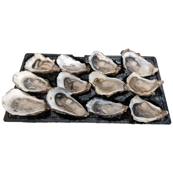 HUITRE DEMI COQUILLE N°2 CTN 4x12 ZAINES